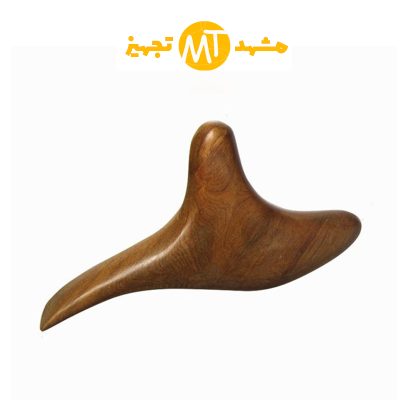 استیک دلفینی 3
