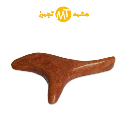 استیک دلفینی 4